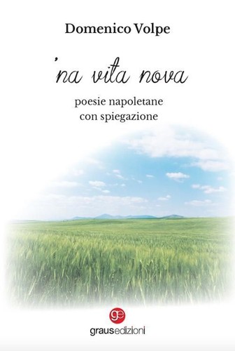 Libri volpe domenico - volpe, 'na